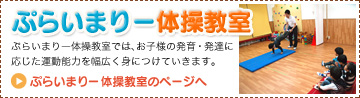 ぷらいまりー幼児教室 体操教室