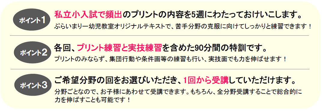 分野別プリント特訓とは